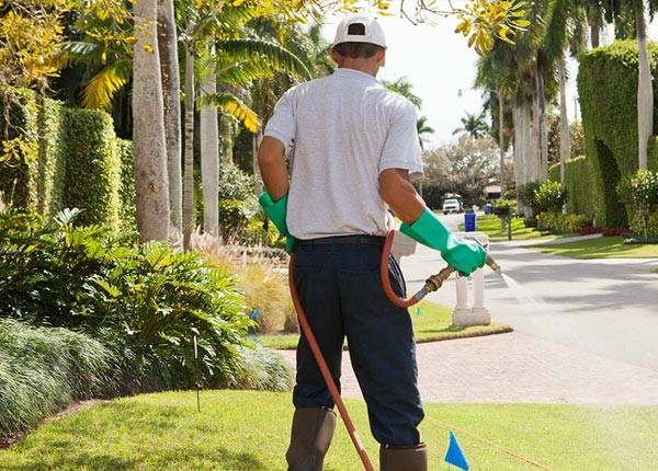 About Alma WI Pest Control